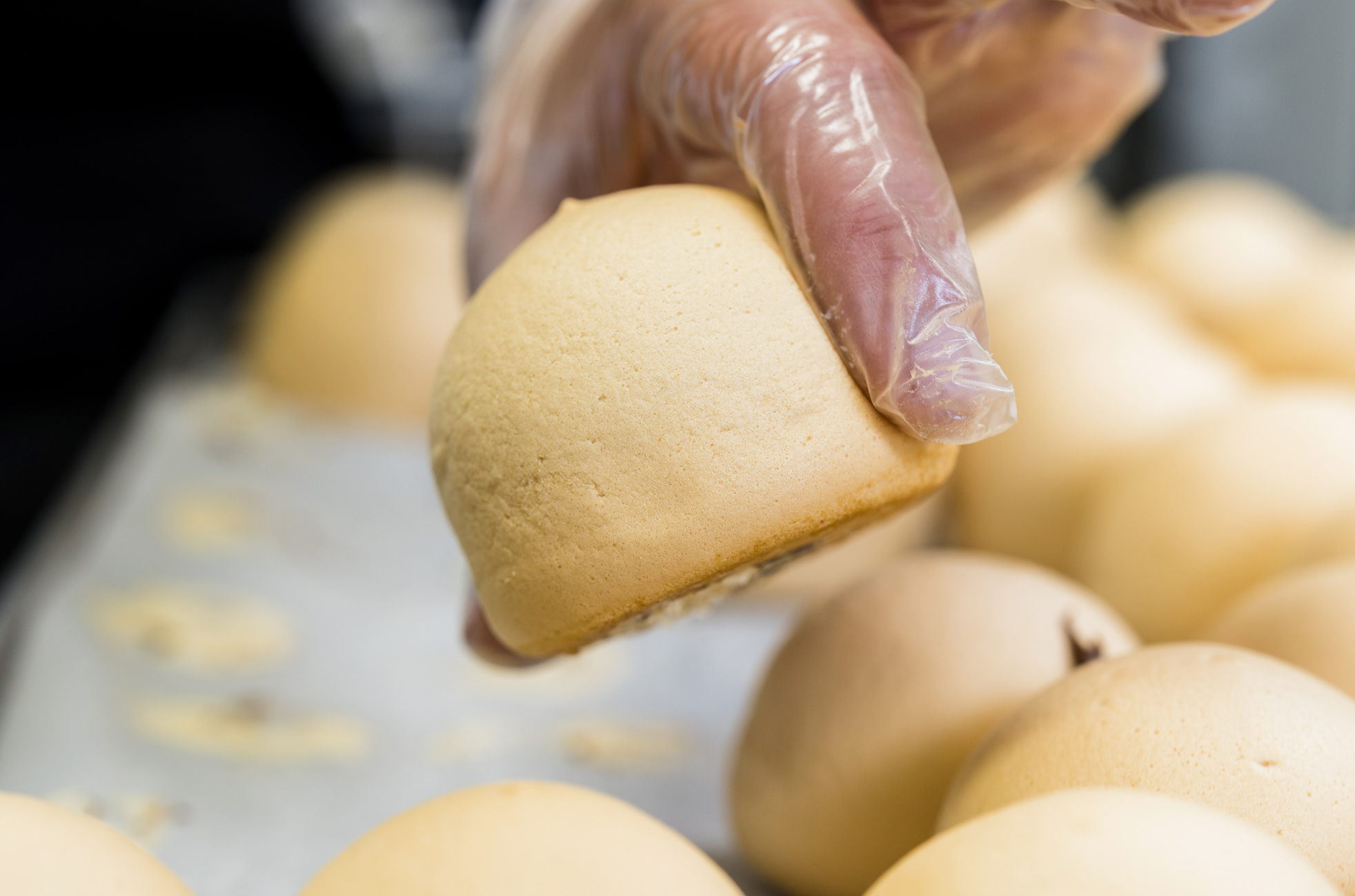 Tette delle monache Covella Pasticceri